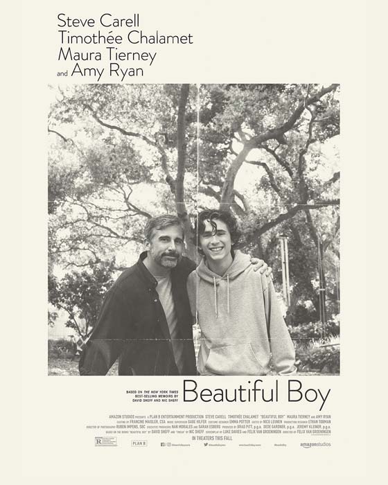 Beautiful Boy movie poster