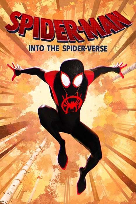 Spider-Man Into The Spider-Verse movie poster