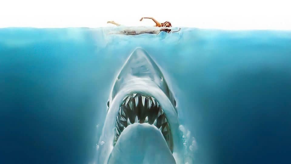 The Jaws screenplay and script