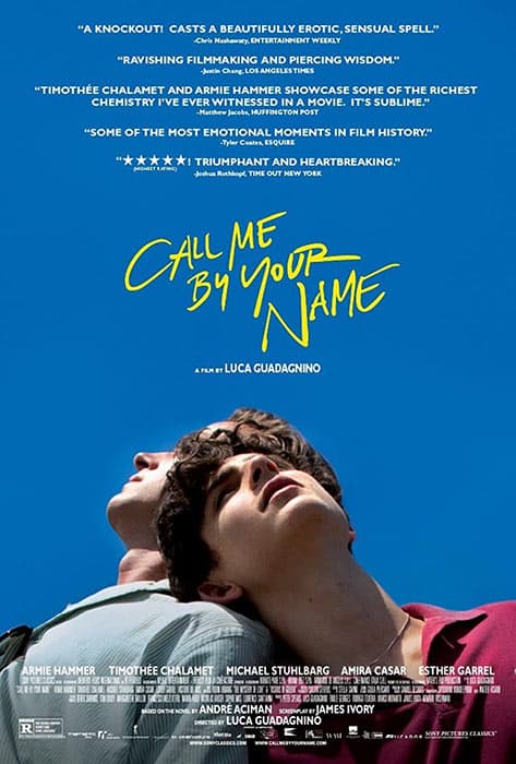 The Call Me by Your Name movie poster