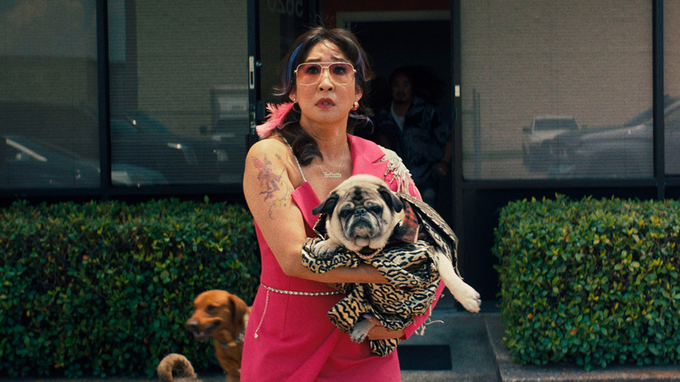 An image of a lady standing with a look of shock and holding in her arms a pug from teh movie Quiz Lady.
