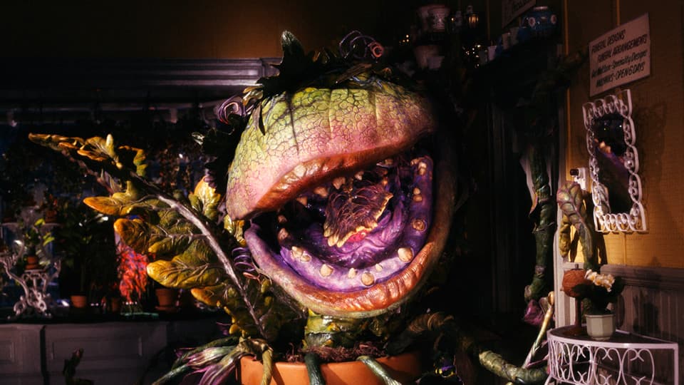 Still image from the movie 'Little Shop of Horrors', representing the screenplay.