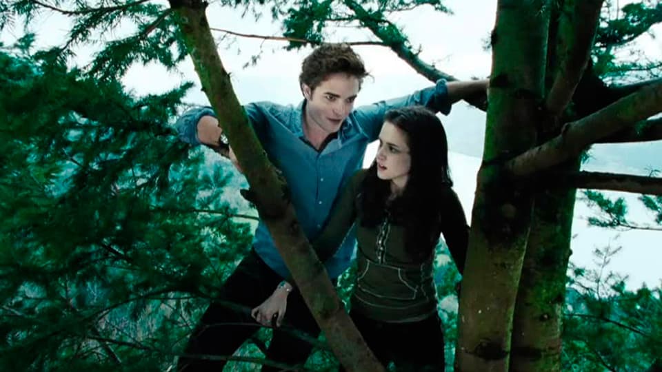 Still image from the movie 'Twilight', representing the screenplay.